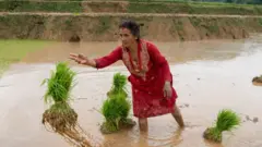 नेपाल