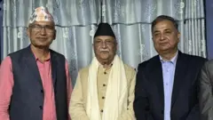 विष्णु पौडेल, केपी शर्मा ओली र ईश्वर पोखरेल