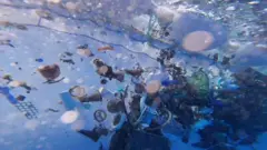 FISHING NETS
