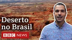 Vídeo
