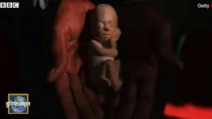 गर्भपात क़ानून