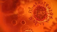A coronavirus