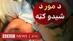 نن د اګسټ لومړی نیټه ماشوم ته د مور د شیدو ورکولو نړیواله ورځ ده.