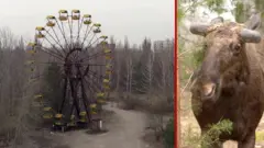 Чорнобиль, що зникає. Панорами Зони відчуження