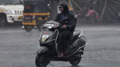 पाऊस