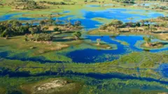 Vue aérienne du delta de l'Okavango