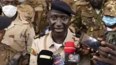 sojojin Mali
