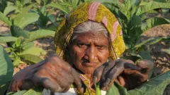 મહિલા ખેડૂત