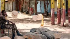 Dowladda Itoobiya ayaa sheegtay in howlgal ammni ay ka wado gobolka Tigray