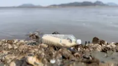 A plastic bottle with rice and a $1 banknote