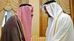 محمد بن زايد والملك سلمان