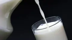 ابهام در مورد آلودگی شیر و لبنیات در ایران