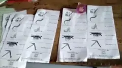 নির্বাচনে অনিয়মের অভিযোগ তুলেছে বিরোধী দলগুলি।