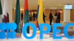 ਓਪੇਕ ਦੇਸ ਦੁਨੀਆਂ ਵਿੱਚ ਤੇਲ ਦੀਆਂ ਕੀਮਤਾਂ ਤੈਅ ਕਰਨ ਲਈ ਮਿਲਦੇ ਹਨ