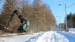 بدأ العمل في السياج عند معبر إيماترا الحدودي، بإزالة الغابات يوم الثلاثاء