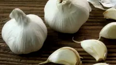 Garlic