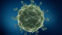 Tooftaan wal'aansa kun namoota vaayirasicha waliin jiraatan hedduusaaniif fayyisuuf hin oolu jedhameera