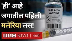 मलेरिया लस, आफ्रिका