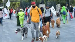 men walking dogs