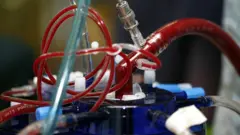 हार्ट-लङ मशीन