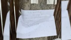Соцмережі кинулися підтримувати "юного відеоблогера" після оголошення на стовпі