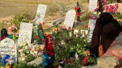 valley of the widows