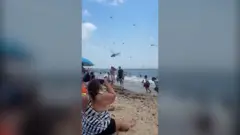 Najezda vilinih konjica na plaži u Americi
