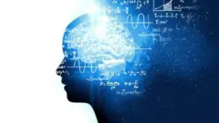 cerebro