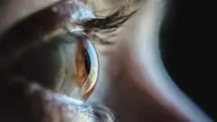 Eye