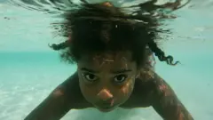 Australijsko ostrvo