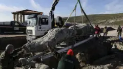 जीवाश्म