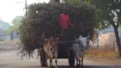 ગુજરાતનું ગામ