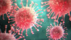 Virus