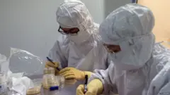 ਕੋਰੋਨਾਵਾਇਰਸ