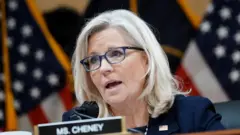 Image shows Liz Cheney