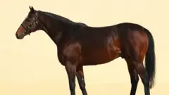 صورة الحصان المسروق