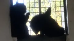 ریچھ
