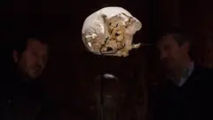 İspanya'nın kuzeyinde yer alan Burgos şehrindeki Sima de los Huesos adını taşıyan mağarada bulunan kemiklerden biri