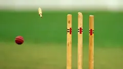 ક્રિકેટ