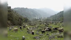 China Bhutan