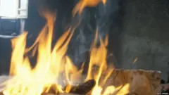 ਭੂਤ