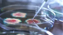 virus lab