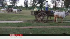 စစ်ကိုင်းတိုင်းထဲက စစ်ရှောင်ပြည်သူတွေရဲ့ အခြေအနေ