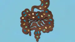 Le microbiote intestinal est composé de plus de 100 000 milliards de bactéries et autres créatures microscopiques.