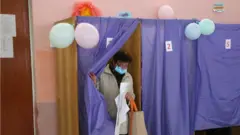 вибори
