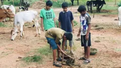 జీవ‌న వికాస విద్యావనం