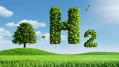 Un árbol y el símbolo H2