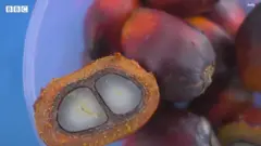 पाम ऑयल