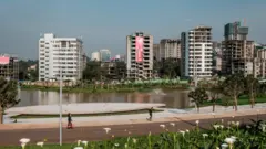 የአዲስ አበባ ከተማ