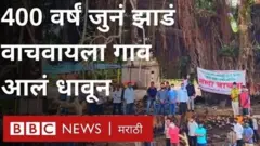 सांगली जिल्ह्यातील भोसे गावाच्या हद्दीत असलेल्या चारशे वर्ष जुन्या एका वडाच्या झाडासाठी हे वृक्षप्रेमी एकवटले आहेत.